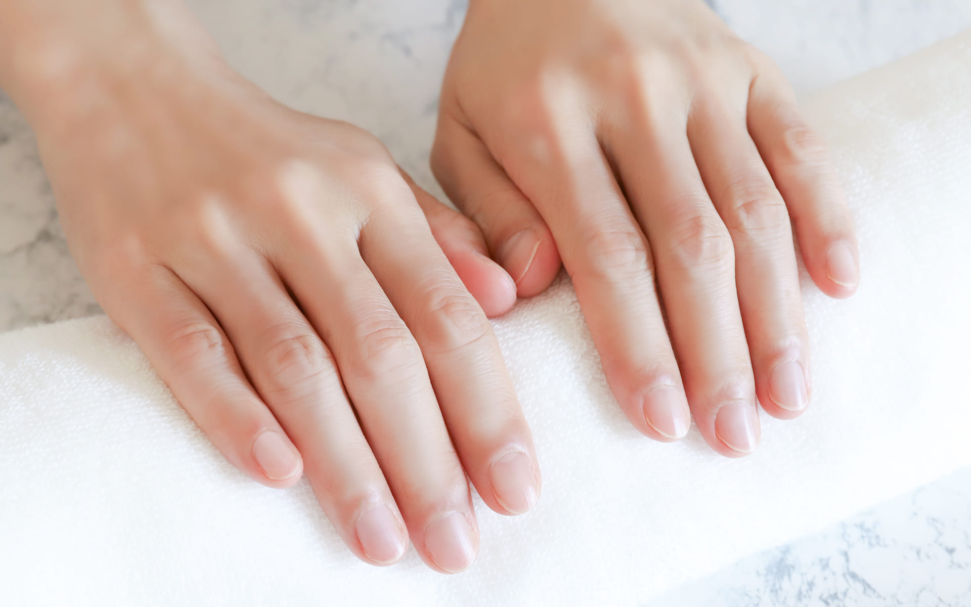 サービス紹介・料金表